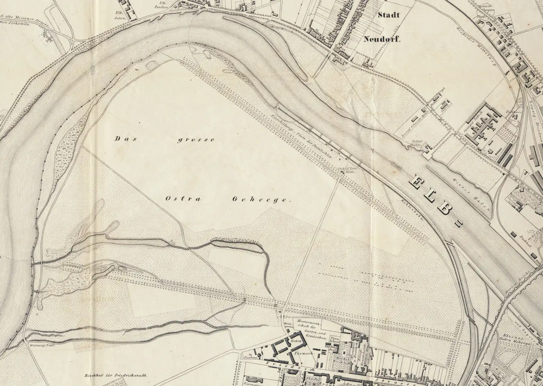 Das Bild zeigt einen Ausschnitt aus einer historischen Karte von 1813. Zu sehen ist das Ostragehege mit Lindenallee. Es wird deutlich, dass das Ufer zu der Zeit flacher war und weiter in die Landschaft hineinreichte.